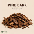 Fermented Pine Bark for Orchids & Plants – 500g