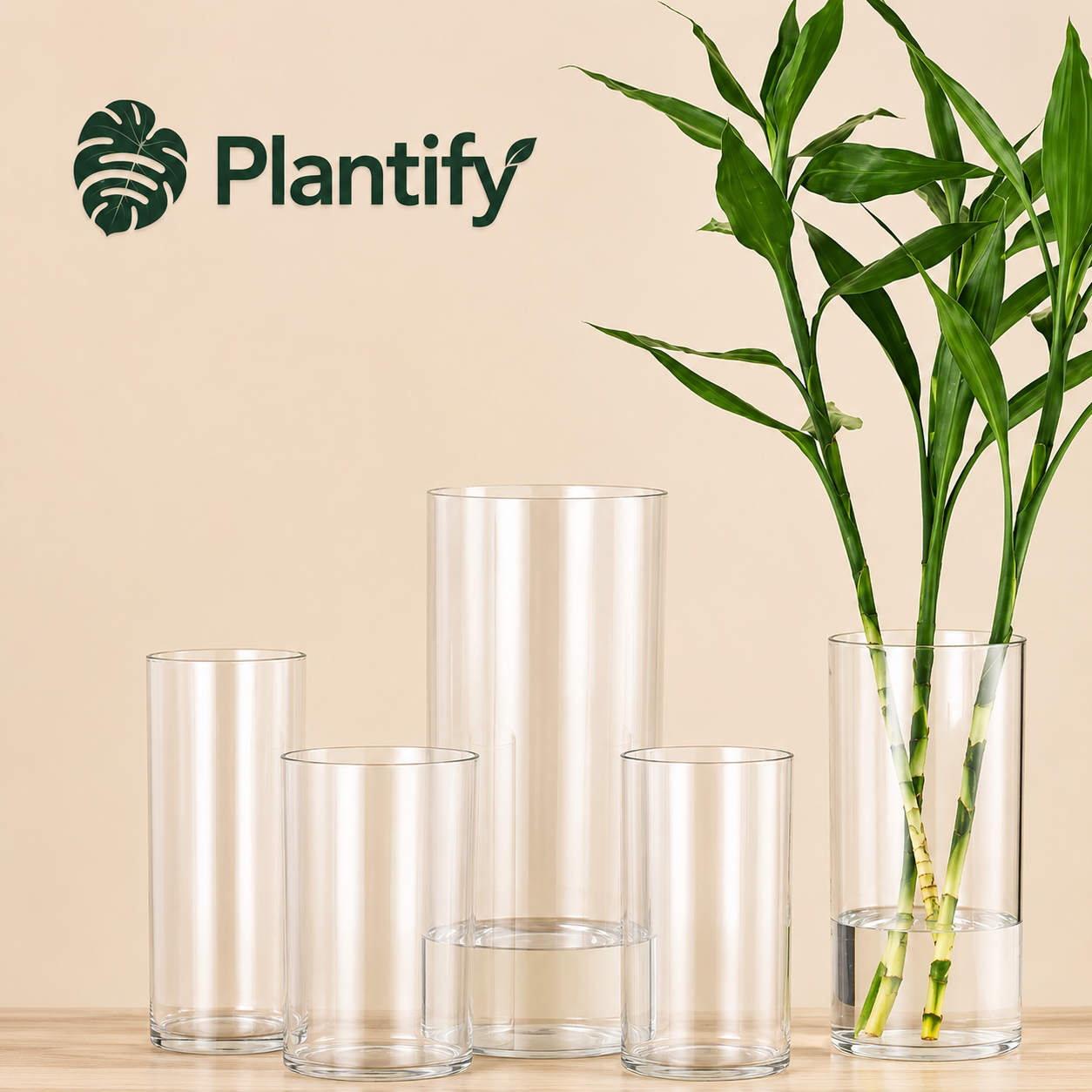 Clear Acrylic Cylinder Vase for Flowers