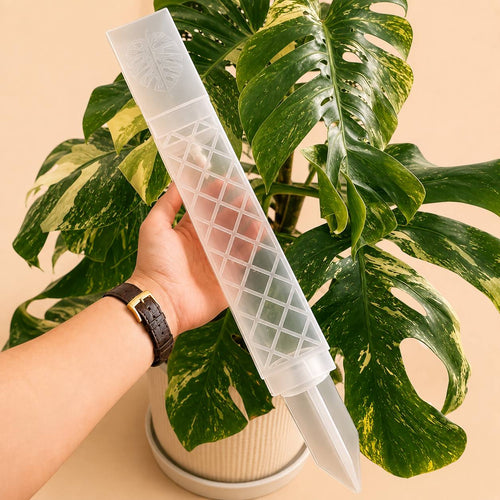 D-Shaped Self-Watering Drip Irrigation System for Moss Poles