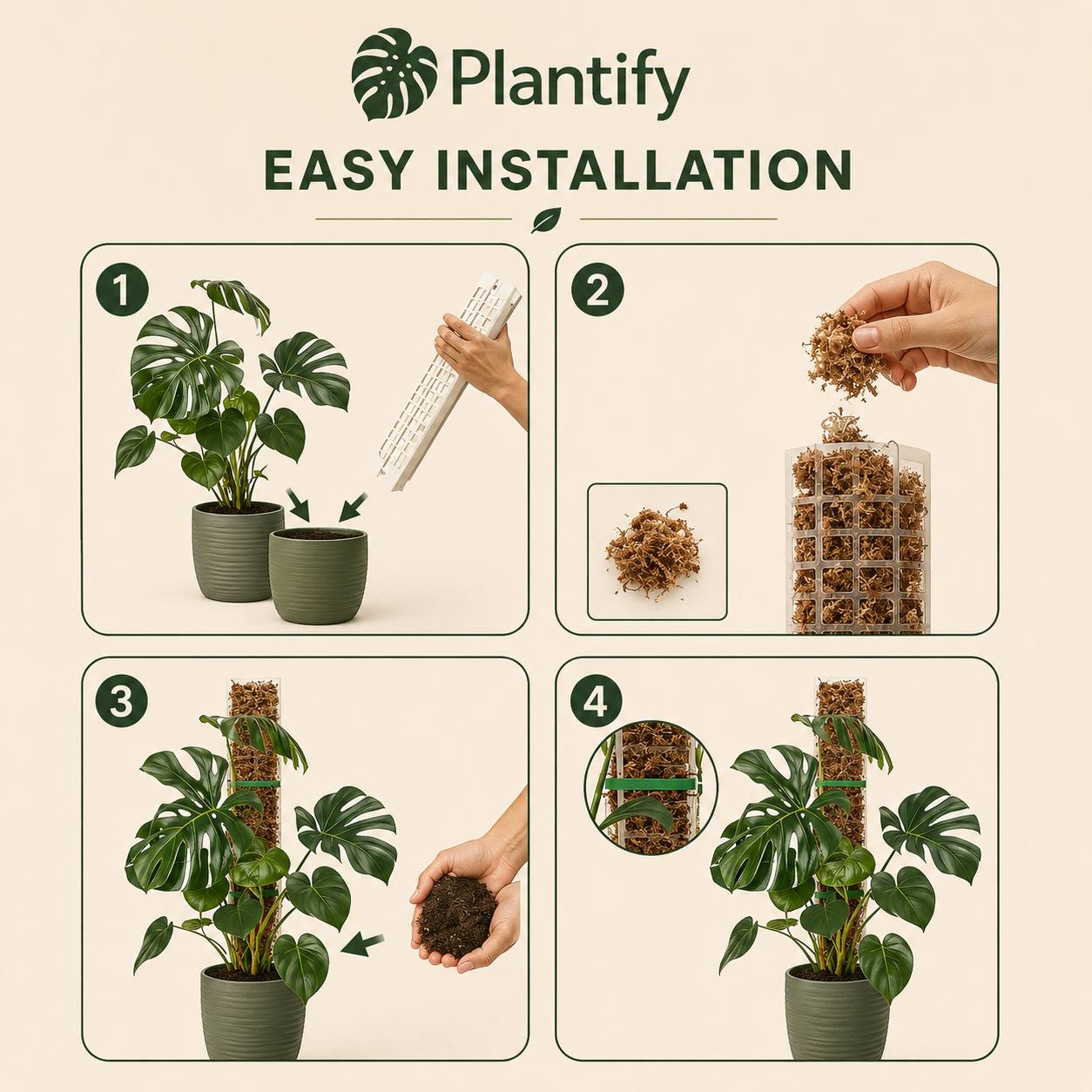 Moss Pole for Monstera & Climbing Plants