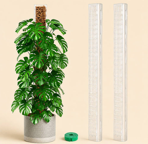 Moss Pole for Monstera & Climbing Plants