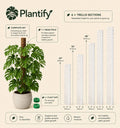Moss Pole for Monstera & Climbing Plants